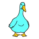 _snimz