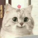 avatar Tiffxnie