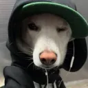 cardic avatar