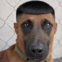 brothermickey