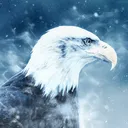 eagle6449
