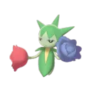 roselia6262
