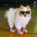 d_tron