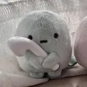 nekolovefish