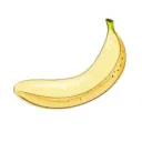 bananabro9029