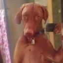 avatar 𝖒𝖔𝖓𝖎