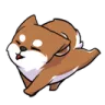 tgkadminhare