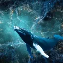 thealmightyspacewhale