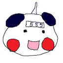 fc_yunil