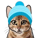 maesterchill