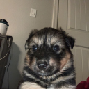 avatar FelixDEMON.R6