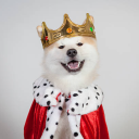 avatar Pride Ant 👑