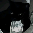 Venerosa