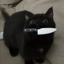 lisajuliette