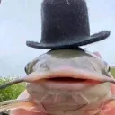 randerek