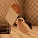 moonlizard