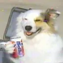 a discord avatar