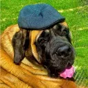 feathertap
