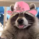 curiousmore