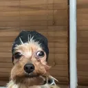 mahx