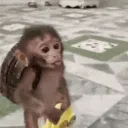 rimanas