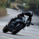 avatar Taurus 琉影