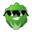 thefamouslettuce