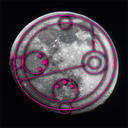 FallenMycraft avatar
