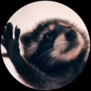 jordim17#9249's avatar