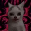 pyrad