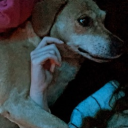 avatar 𝓞𝓷𝓵𝔂𝓜𝔂𝓾しにがみ