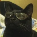 catoinette