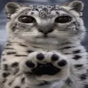 dohge