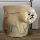 aquvi