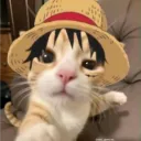 bluesandw1ch