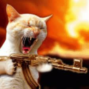 avatar karabokshmali