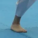 leonotleo