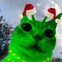 avatar Ashton ❄🌟