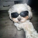 avatar 𝔦𝔱𝔰𝔪𝔢𝔠𝔩𝔬𝔴𝔦𝔦𝔦