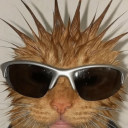 avatar Ogi