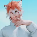 tiredfoxboi