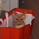 avatar WeeXnes | ルーク