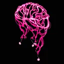 rocknetwork3