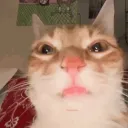 ibuyket