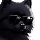 bad_sbc