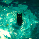 avatar Lukke