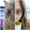 miramysara