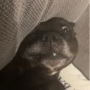 adzbxy9