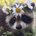 phillosophiie