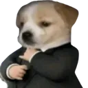 imwilliam99